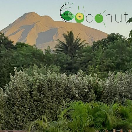 O Logis Du Morne Jacob "Coco", Le Morne-Rouge Martinique Lägenhet Exteriör bild