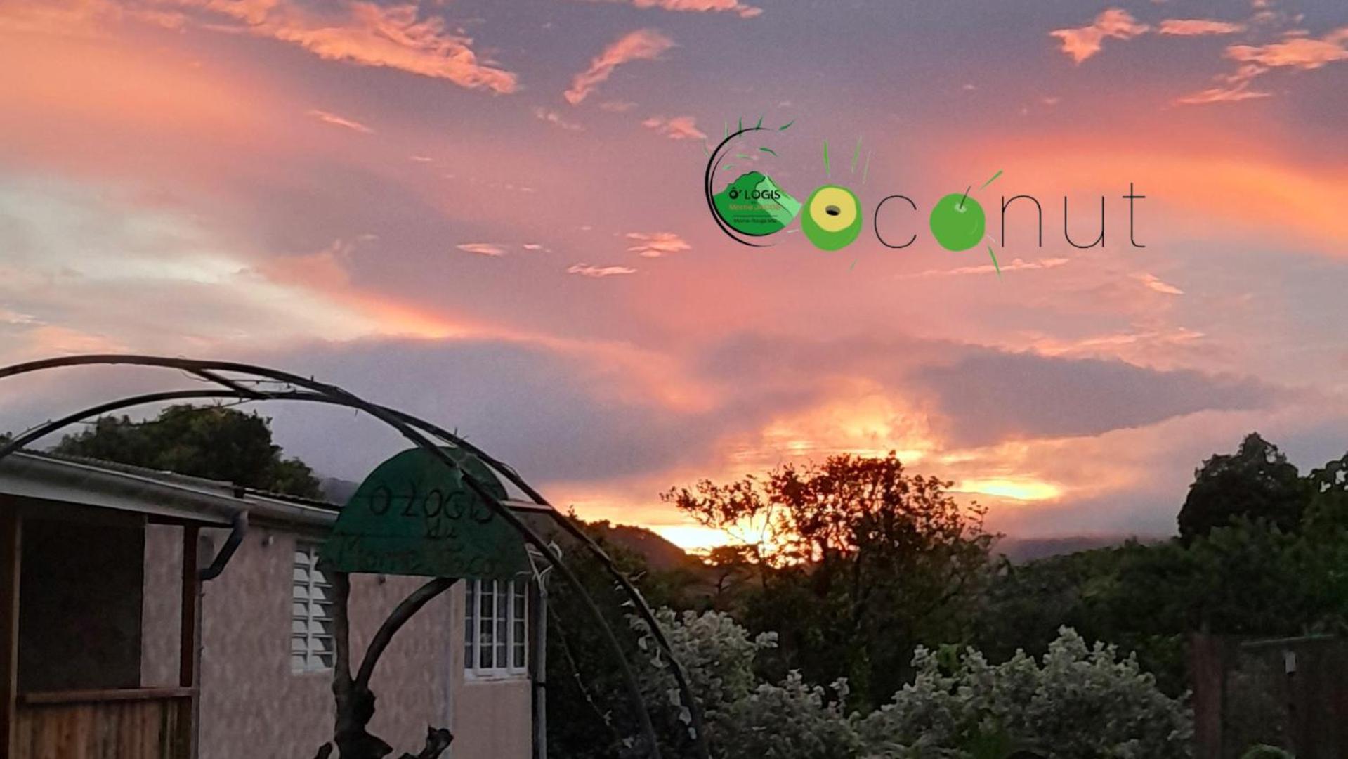 O Logis Du Morne Jacob "Coco", Le Morne-Rouge Martinique Lägenhet Exteriör bild