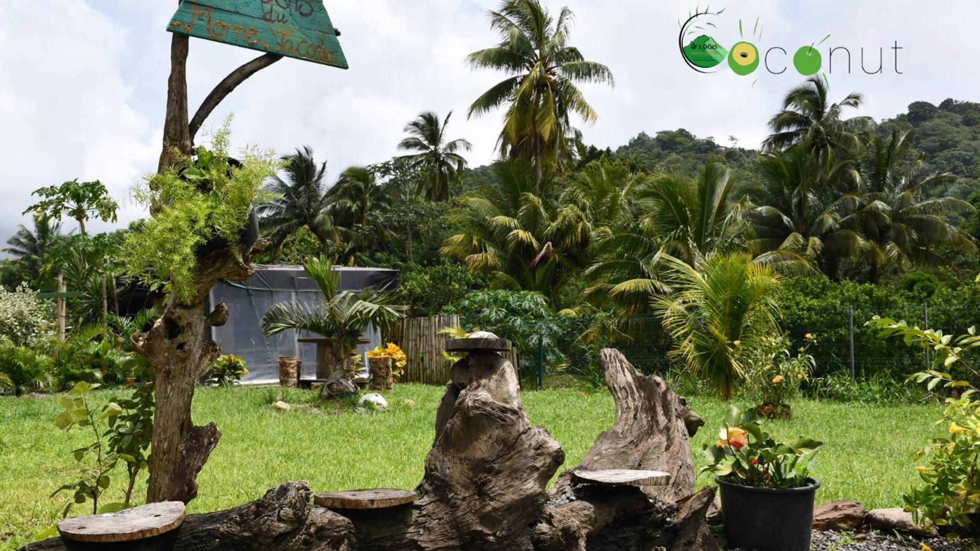 O Logis Du Morne Jacob "Coco", Le Morne-Rouge Martinique Lägenhet Exteriör bild