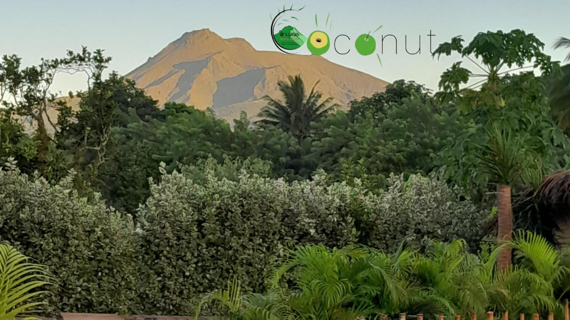 O Logis Du Morne Jacob "Coco", Le Morne-Rouge Martinique Lägenhet Exteriör bild